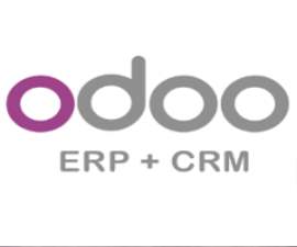 Odoo ERP Software Support